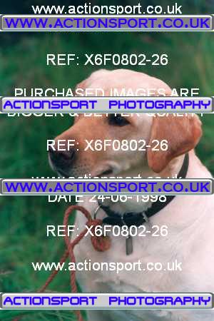Photo: X6F0802-26 ActionSport Photography 24/06/1998 AMCA Shrewsbury MCC - Condover  _3_SomeonesDog