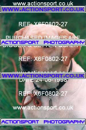 Photo: X6F0802-27 ActionSport Photography 24/06/1998 AMCA Shrewsbury MCC - Condover  _3_SomeonesDog