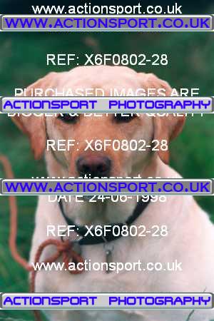 Photo: X6F0802-28 ActionSport Photography 24/06/1998 AMCA Shrewsbury MCC - Condover  _3_SomeonesDog