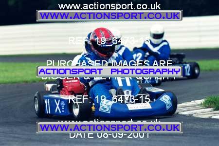 Photo: 19_6473-15 ActionSport Photography 08/09/2001 Inter Nations Kart Challenge - Llandow  _7_ProKarts #11