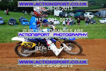 Photo: D81_0123 ActionSport Photography 26/08/2013 AMCA Bath AMCC - Chelwood  _2_Experts