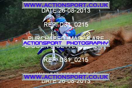 Photo: D81_0215 ActionSport Photography 26/08/2013 AMCA Bath AMCC - Chelwood  _2_Experts