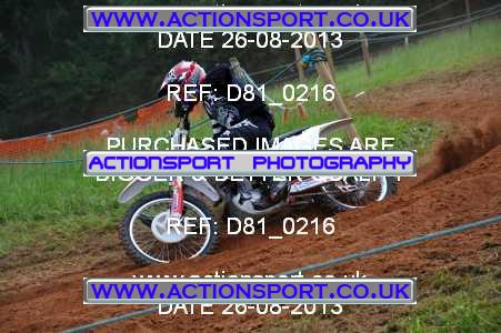 Photo: D81_0216 ActionSport Photography 26/08/2013 AMCA Bath AMCC - Chelwood  _2_Experts