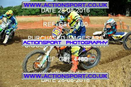 Photo: G81_4480 ActionSport Photography 28/08/2016 AMCA Bath AMCC [Sun] - Farleigh Hungerford  _1_OpenExperts #255