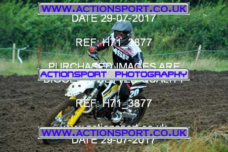 Photo: H71_3877 ActionSport Photography 29/07/2017 Thornbury MX Practice - Thornbury Moto Parc 0950_Juniors