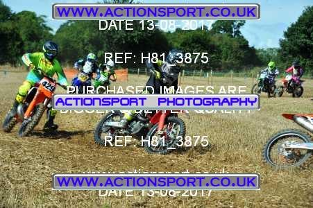 Photo: H81_3875 ActionSport Photography 13/08/2017 AMCA Bath AMCC - Farleigh Hungerford  _3_UnlimitedExperts #97