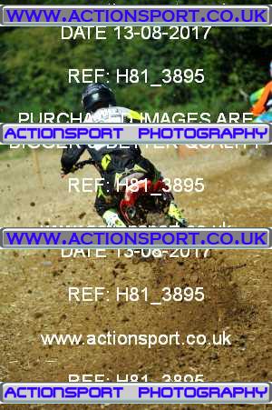 Photo: H81_3895 ActionSport Photography 13/08/2017 AMCA Bath AMCC - Farleigh Hungerford  _3_UnlimitedExperts #97