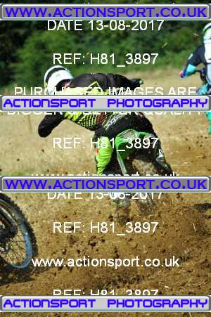 Photo: H81_3897 ActionSport Photography 13/08/2017 AMCA Bath AMCC - Farleigh Hungerford  _3_UnlimitedExperts #86