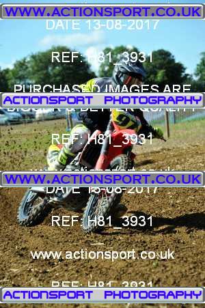 Photo: H81_3931 ActionSport Photography 13/08/2017 AMCA Bath AMCC - Farleigh Hungerford  _3_UnlimitedExperts #97