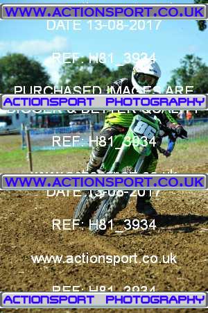 Photo: H81_3934 ActionSport Photography 13/08/2017 AMCA Bath AMCC - Farleigh Hungerford  _3_UnlimitedExperts #86