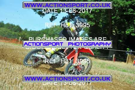 Photo: H81_3995 ActionSport Photography 13/08/2017 AMCA Bath AMCC - Farleigh Hungerford  _3_UnlimitedExperts #97